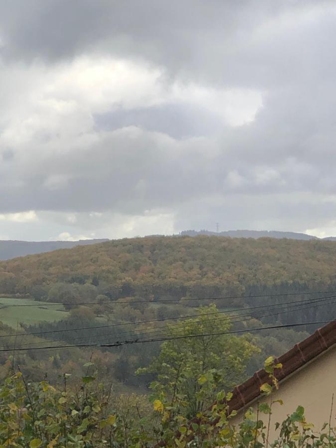 Ferme Fleurie Bed & Breakfast Bergesserin Dış mekan fotoğraf