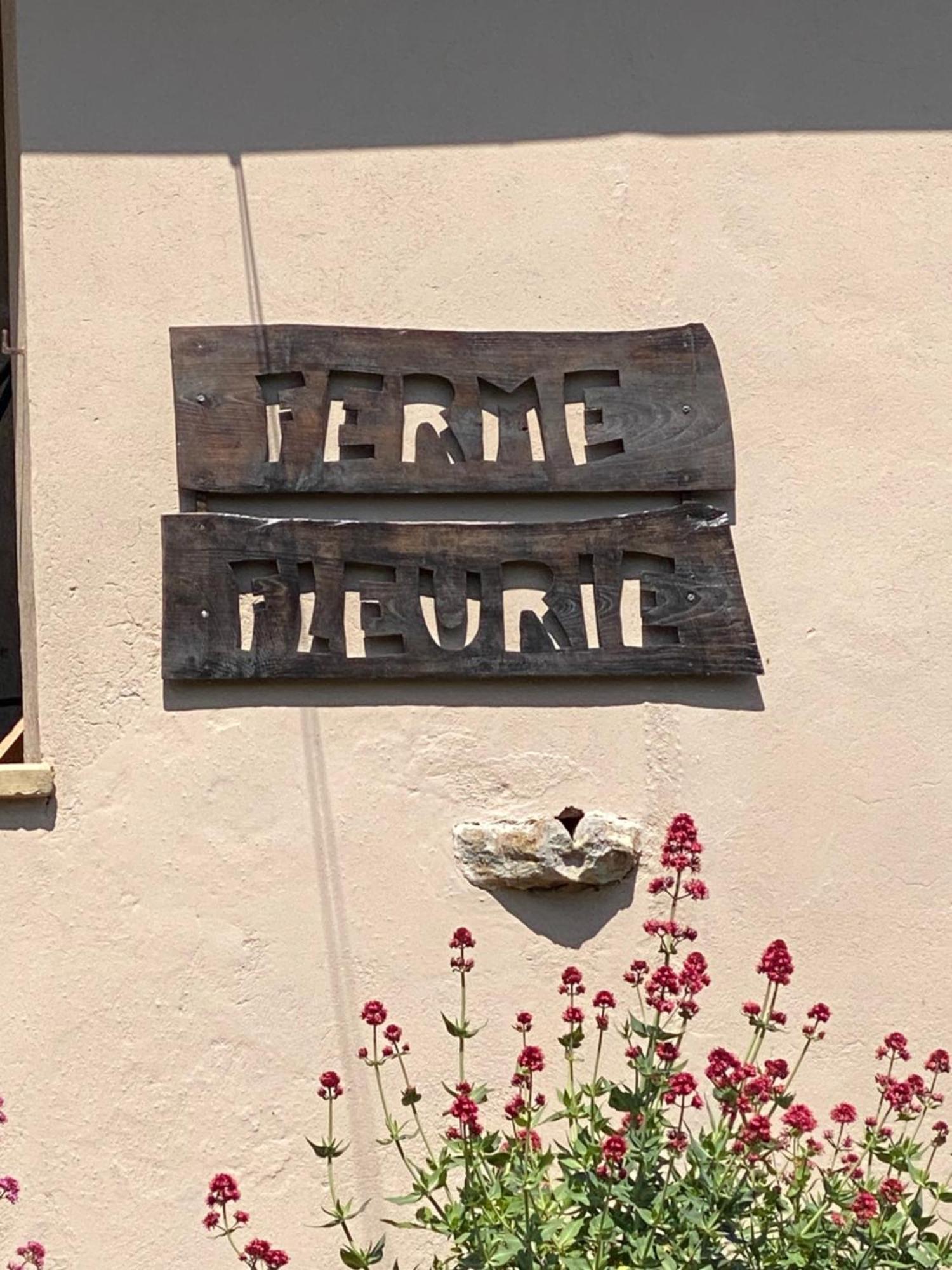 Ferme Fleurie Bed & Breakfast Bergesserin Dış mekan fotoğraf