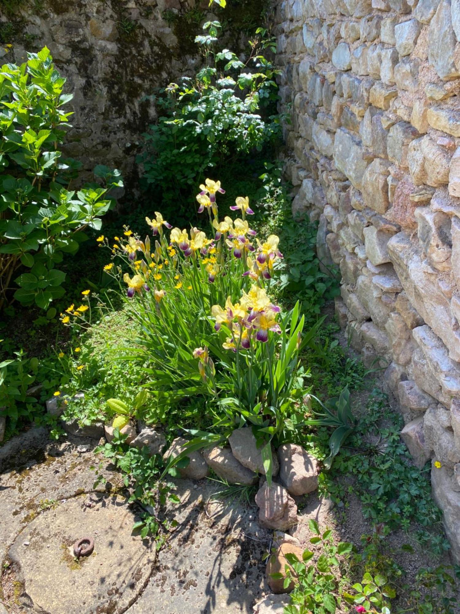 Ferme Fleurie Bed & Breakfast Bergesserin Dış mekan fotoğraf